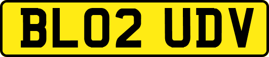 BL02UDV