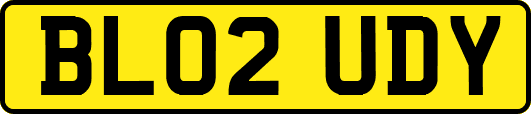 BL02UDY