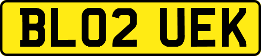 BL02UEK