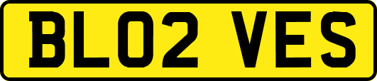 BL02VES