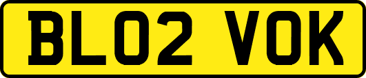 BL02VOK