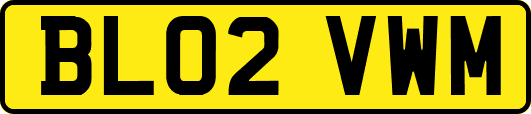 BL02VWM