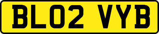 BL02VYB