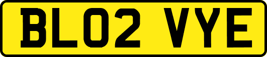 BL02VYE