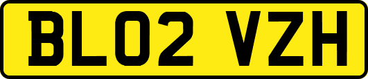 BL02VZH
