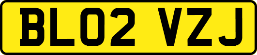 BL02VZJ