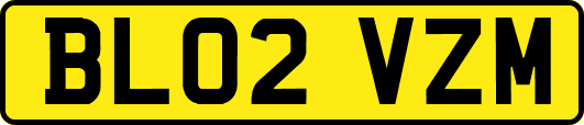 BL02VZM