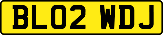 BL02WDJ