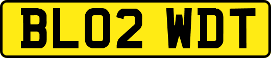 BL02WDT