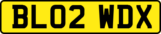 BL02WDX