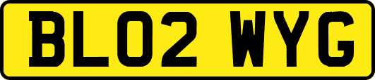 BL02WYG