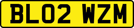 BL02WZM