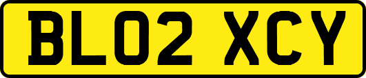 BL02XCY