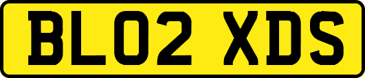 BL02XDS