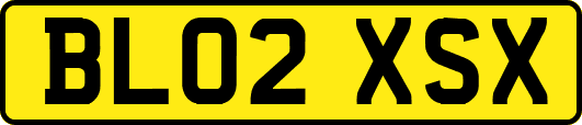 BL02XSX