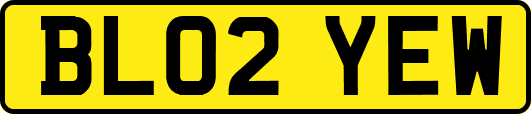 BL02YEW
