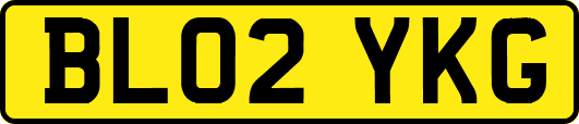 BL02YKG