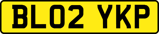 BL02YKP