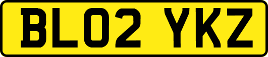 BL02YKZ