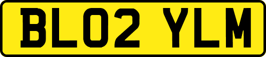 BL02YLM