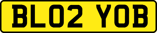 BL02YOB