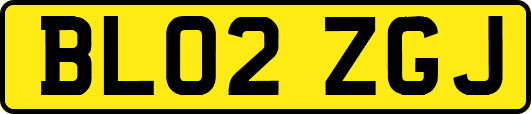 BL02ZGJ