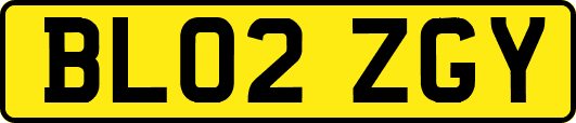 BL02ZGY