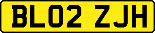 BL02ZJH