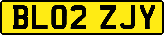 BL02ZJY