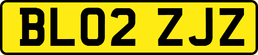 BL02ZJZ