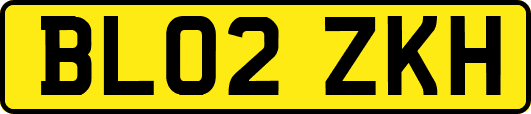 BL02ZKH