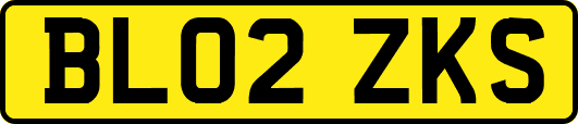 BL02ZKS
