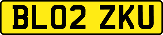 BL02ZKU