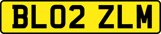 BL02ZLM