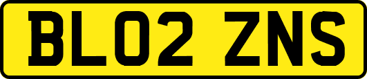 BL02ZNS