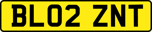 BL02ZNT