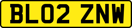 BL02ZNW