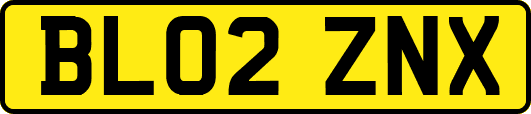 BL02ZNX