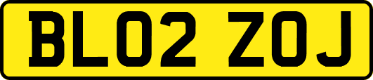 BL02ZOJ