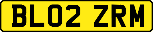 BL02ZRM