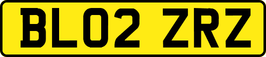 BL02ZRZ