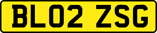BL02ZSG