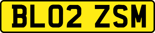 BL02ZSM