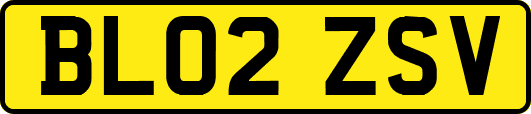 BL02ZSV