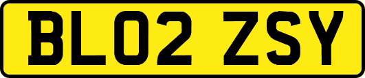 BL02ZSY