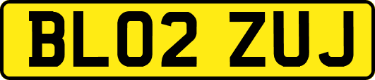 BL02ZUJ