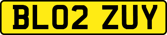 BL02ZUY
