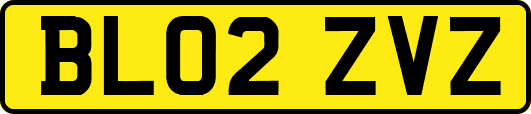 BL02ZVZ