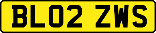 BL02ZWS