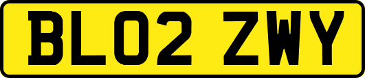 BL02ZWY